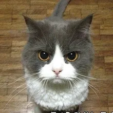 c***v