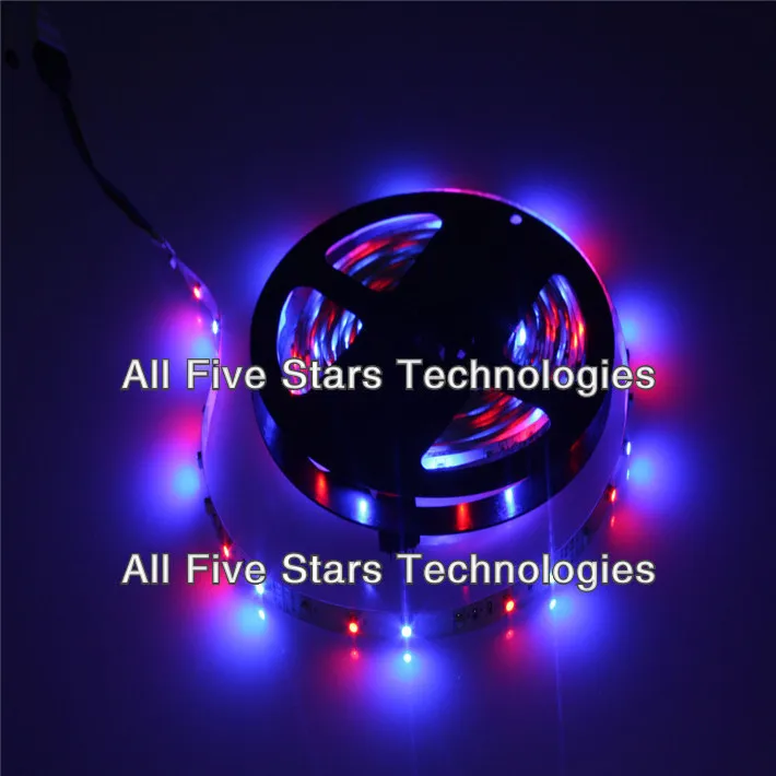 RGB Светодиодные ленты 5 м 300 светодиодный s 3528 SMD + 24 кнопочный пульт + 12 В 2A Мощность адаптер гибкая диод лента Сменные светодиодный свет