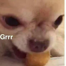 T***s