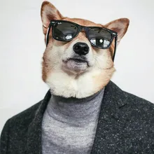 V***n