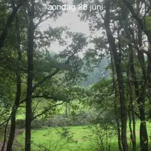 T***n