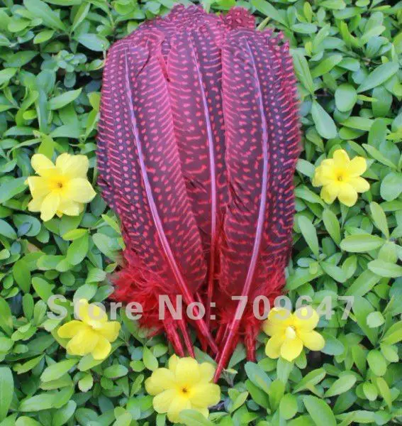 New!100pcs/Lot 13-16cm Guinea Fowl Wing Feather 6Colour Available  free shipping 