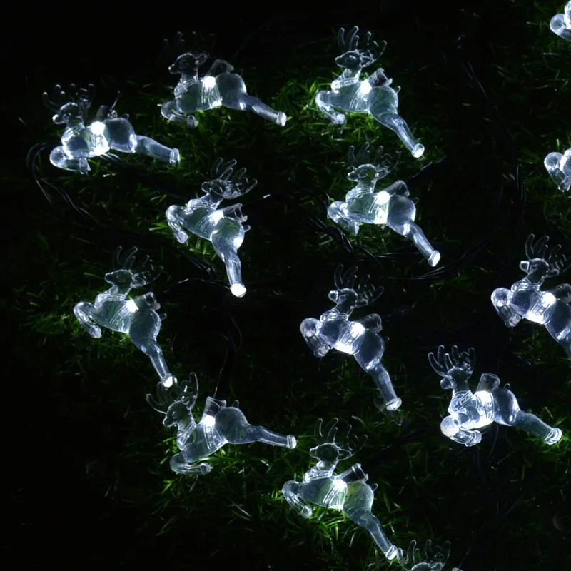 christmas fairy light