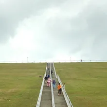 n***k