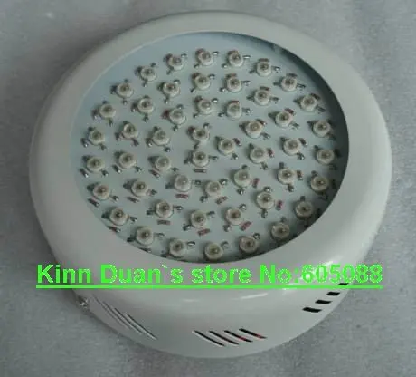 50w grow 02