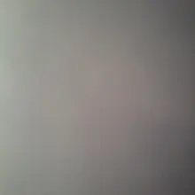 t***a