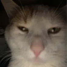 g***z
