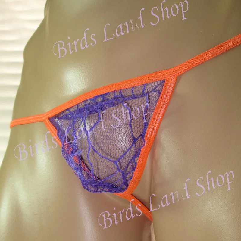 G3679-M-purple-4-_new(2)
