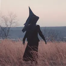 A***a