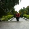 v***s