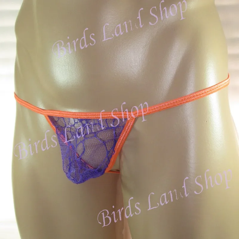 G3679-M-purple-3-_new(2)