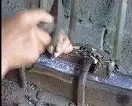 16 мм редкий Миллениум лет море tridacna бисера браслет золотая линия браслет Apotropaion-супер