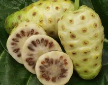 20 seeds/pack NONI Seeds Delicious Fruit seeds Morinda Citrifolia Tree Seed 5pcs Free shipping