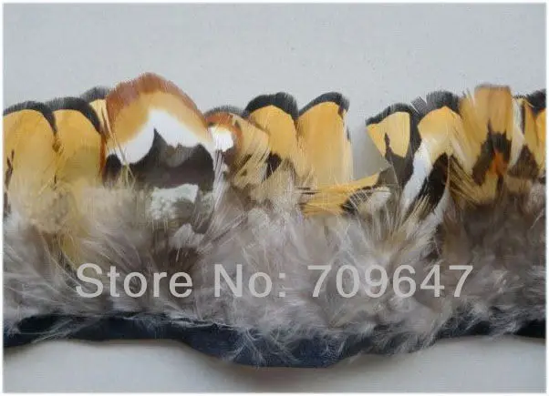 FCT0057 (1)
