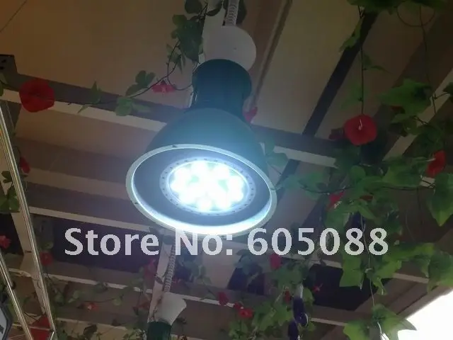  20110602437.jpg