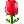 merose