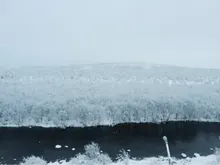 A***n