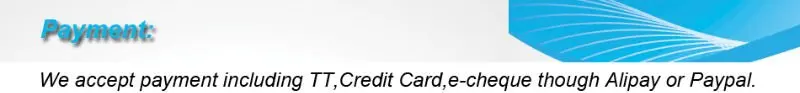 payment