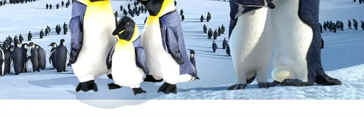 penguin 09