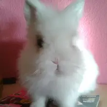 E***z