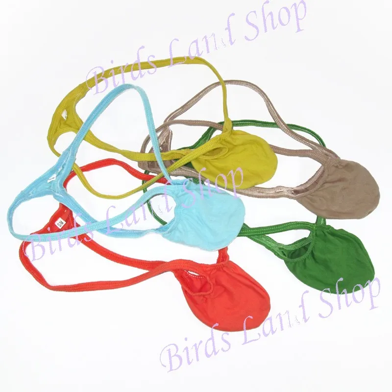 G403C-5p-_new(3)