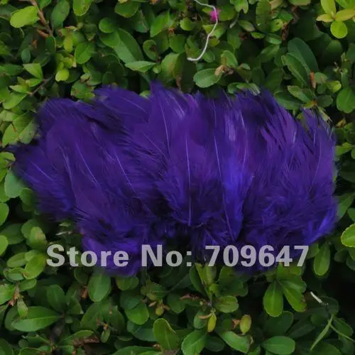 600pcs/Lot 2-4inch 6-9cm Multi-Colors Natural Rooster feathers 12colours available  free shipping