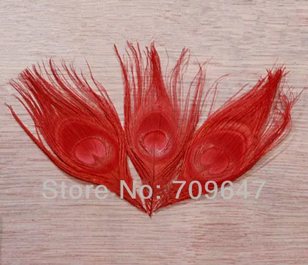 FMP0020 (5)