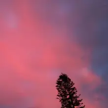 A***n