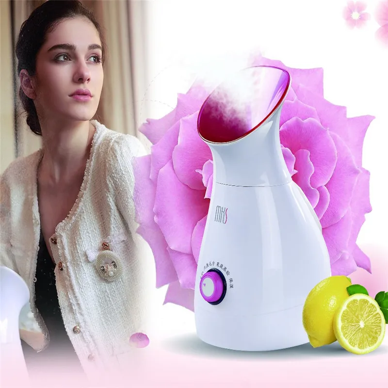 3 in 1 household DIY Fruit Ionic Facial Steamer Electric Facial Sauna