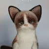 I***a