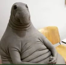 S***A