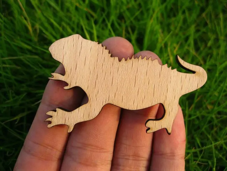 Tuatara брошь дерево мода ювелирные изделия