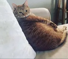 M***a