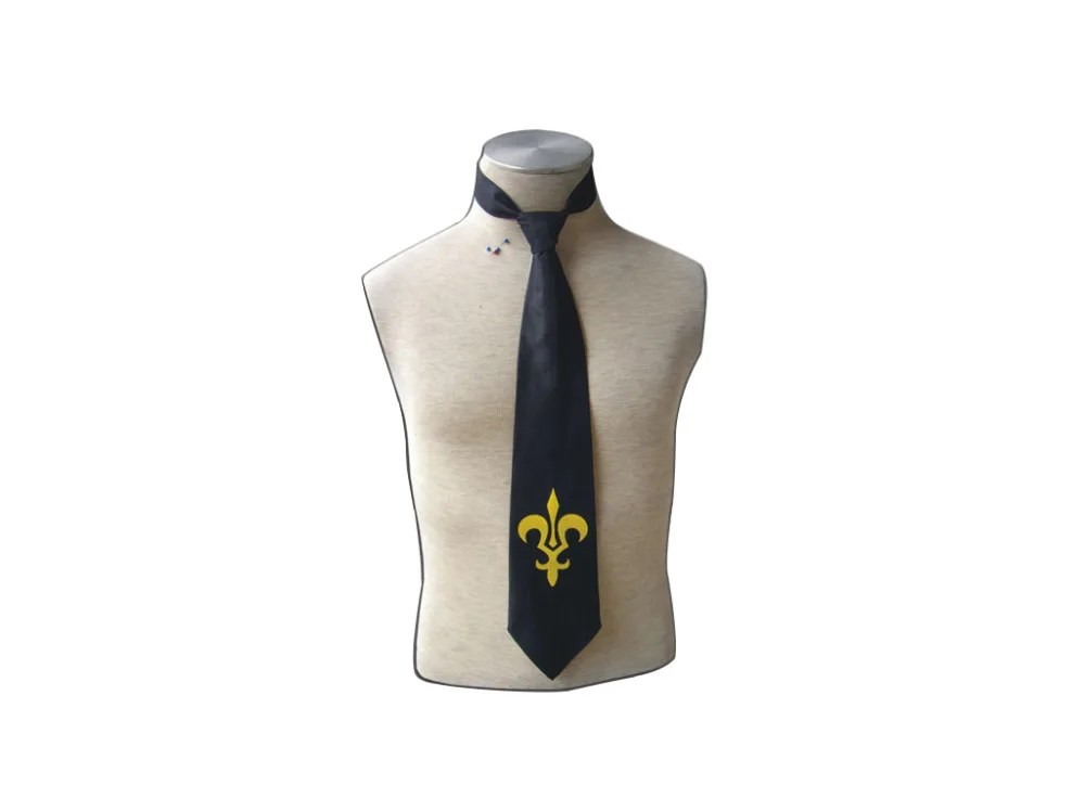 Код Geass: Lelouch of the Rebellion Ashford Academy Мужская школьная форма галстук |