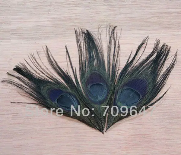 FMP0020 (1)