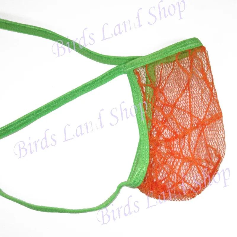 G3679-orange-c-_new(2)