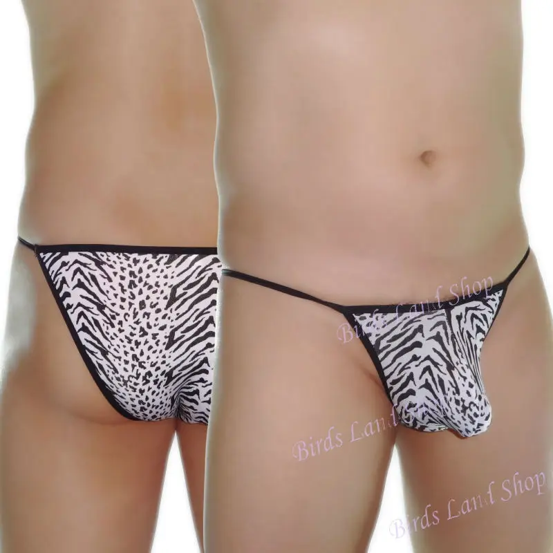 G4484-zebra-B2-2_new(2)