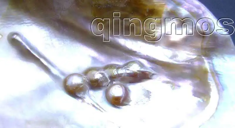 WELCOME TO QINGMOS STORE