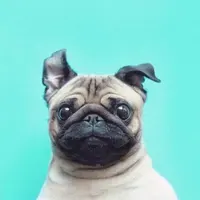 M***a