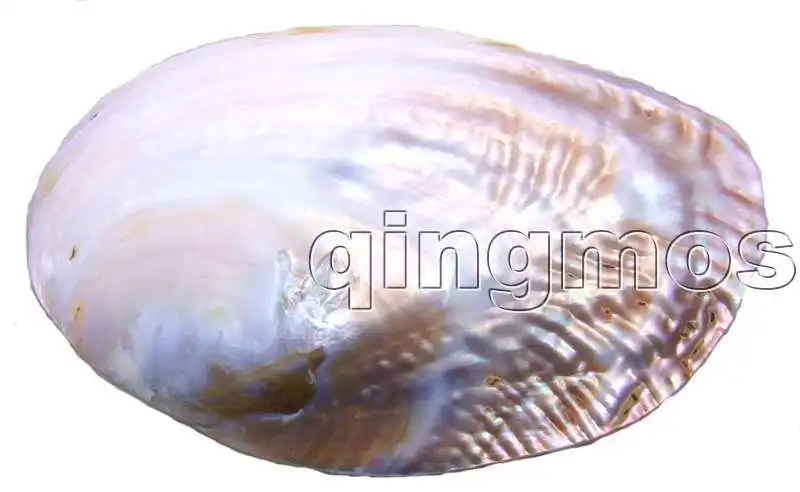 pen225_7.jpg