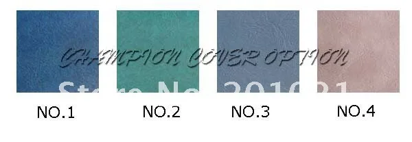 CHAMPION COVER OPTION.jpg_.webp