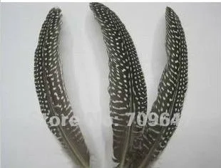 New!100pcs/Lot 13-16cm Guinea Fowl Wing Feather 6Colour Available  free shipping 