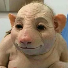 E***v