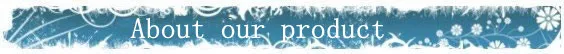 aeProduct.getSubject()