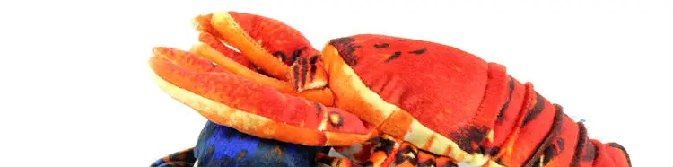 lobster 01