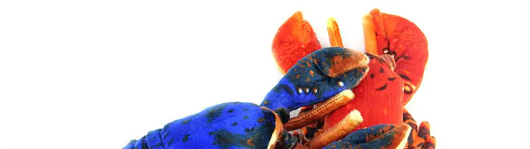 lobster 03