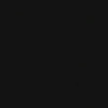 P***o