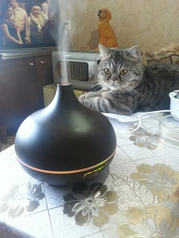 Хорошая цена, отличное качество, доброжелательное отношение. БЫСТРОЕ ОТПРАВЛЕНИЕ!!! Мои рекомендации продавцу. 5 +++++++
