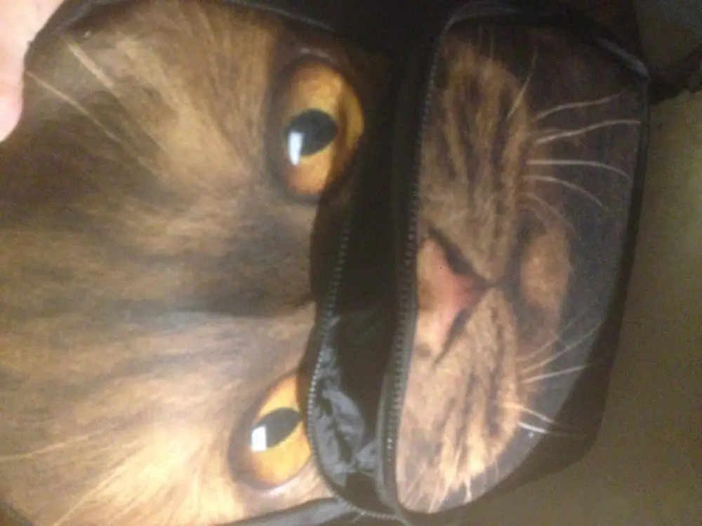 FORUDESIGNS/Мода 3D животных печати Школьный рюкзак для подростков обувь девочек для женщин кошка сова школьный детей Mochila Дети Книга сумка