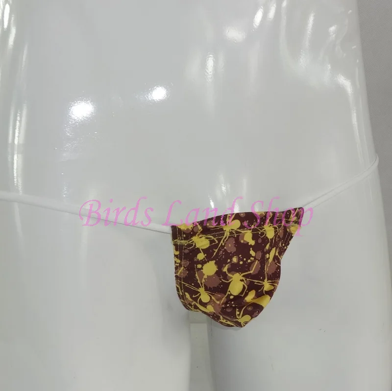G3454-spider-yellow-2-w